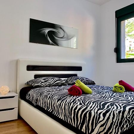 Absolute Apartman 科托尔 外观 照片