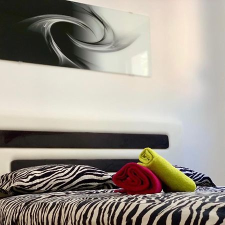 Absolute Apartman 科托尔 外观 照片