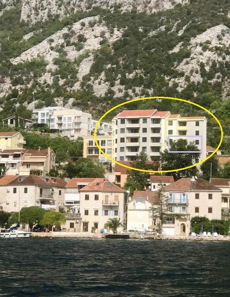 Absolute Apartman 科托尔 外观 照片