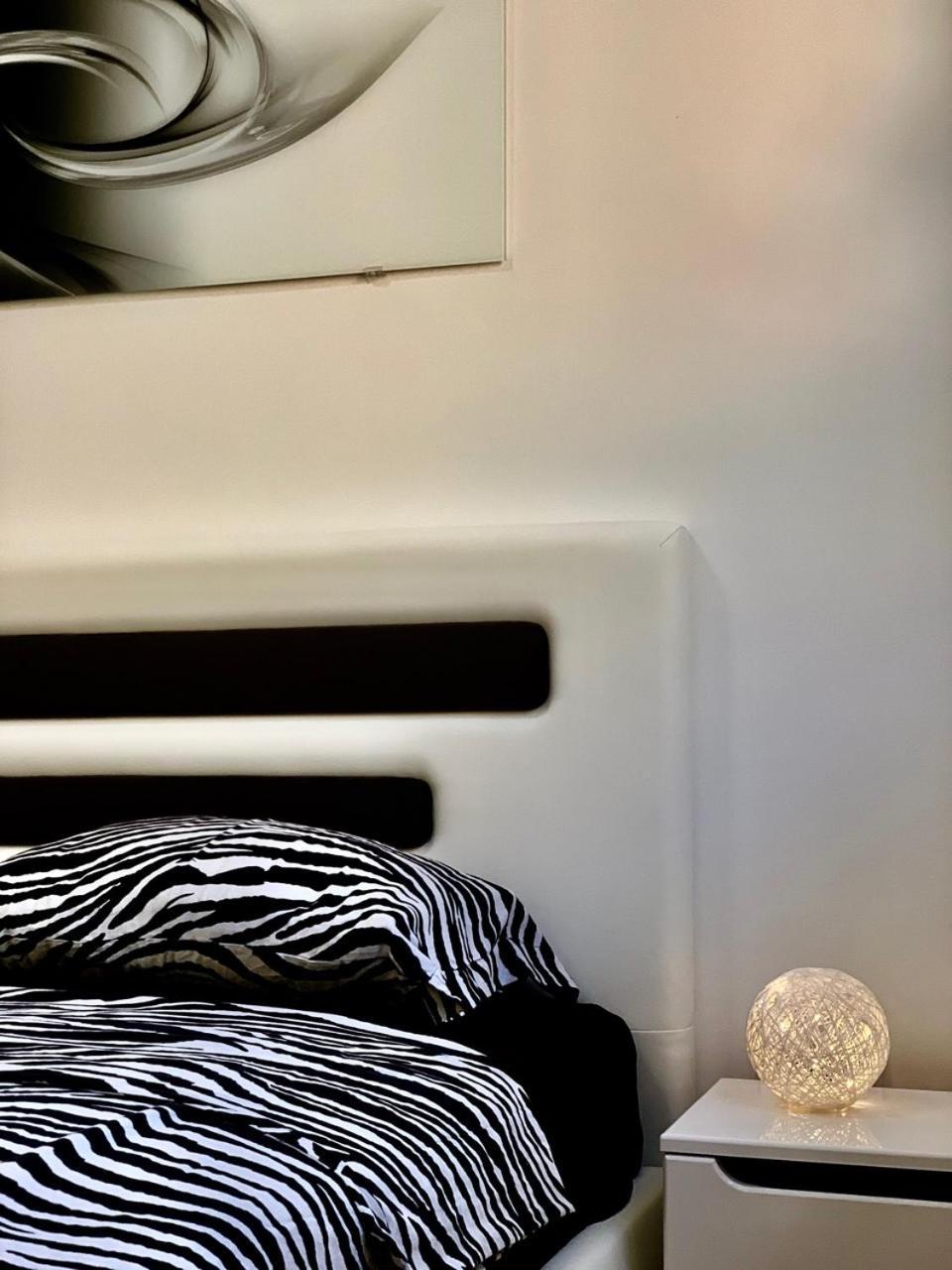Absolute Apartman 科托尔 外观 照片