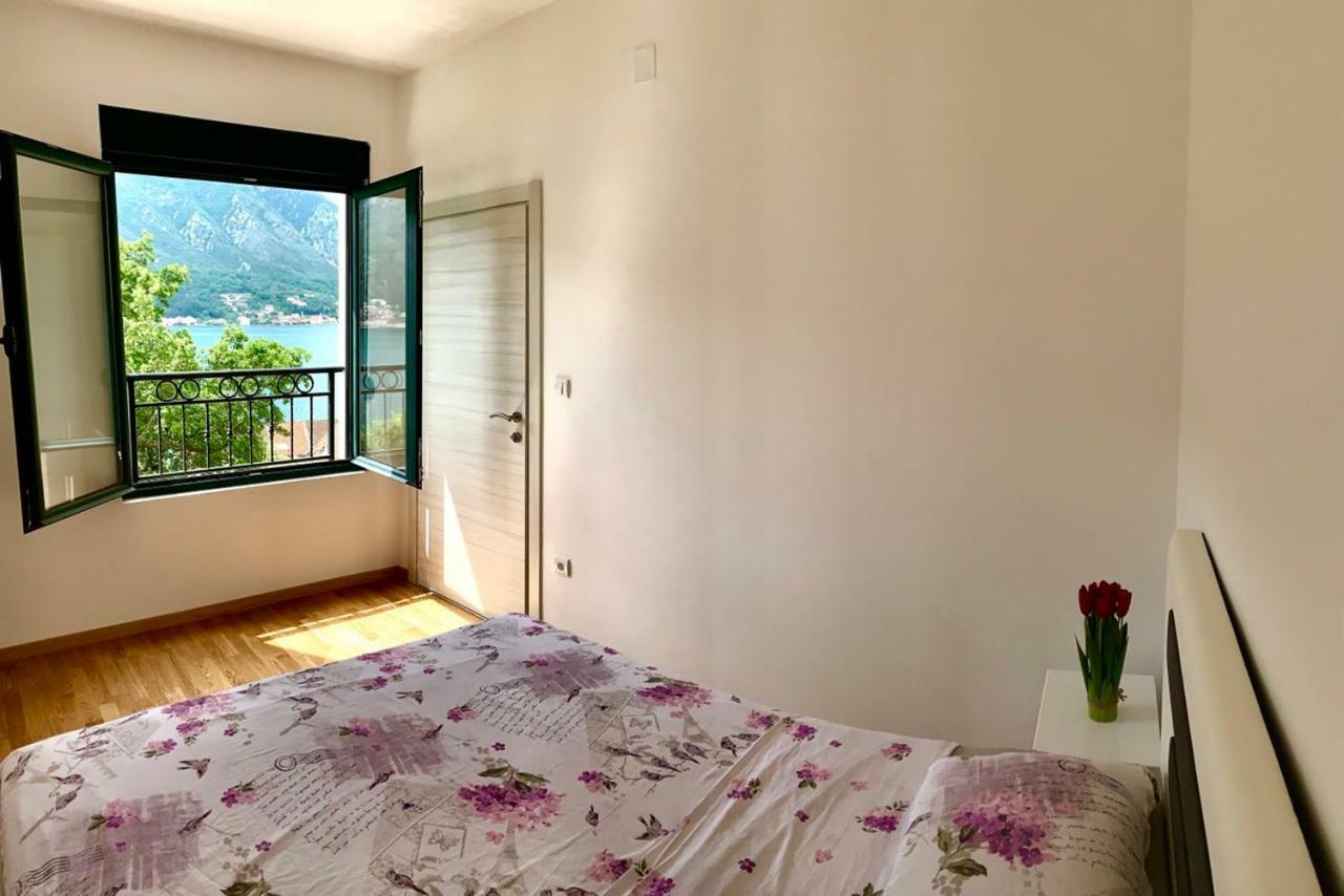 Absolute Apartman 科托尔 外观 照片